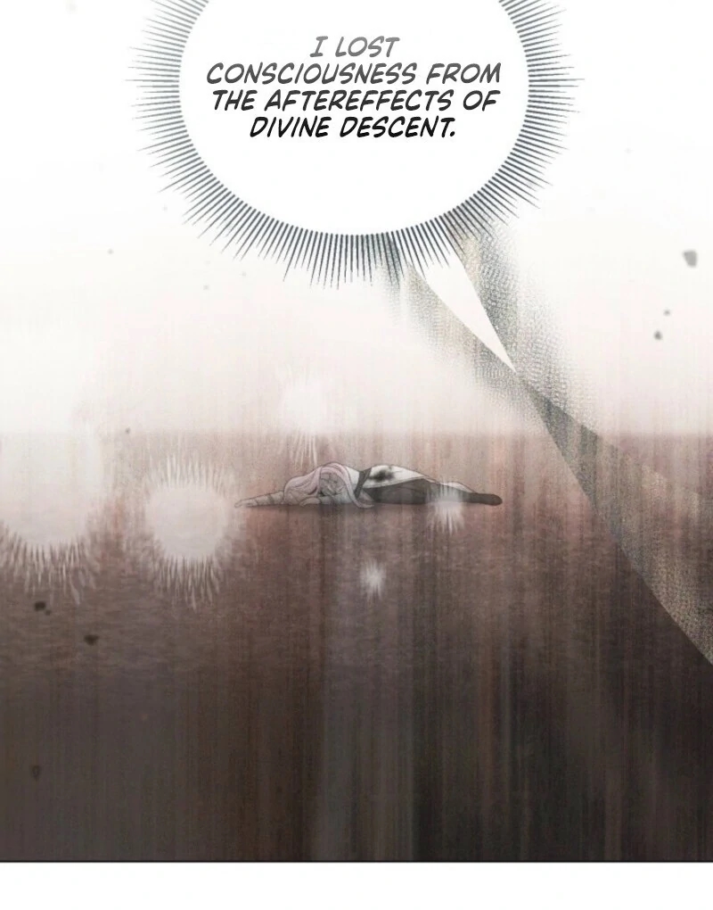 18+ A Transmigrator's Privilege Chapter 106 page 12
