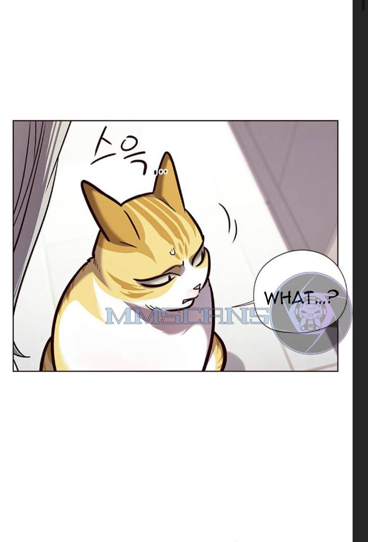 18+ Eleceed Chapter 139 page 4