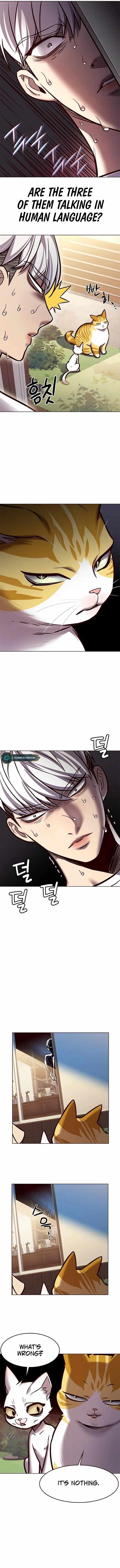 18+ Eleceed Chapter 280 page 7