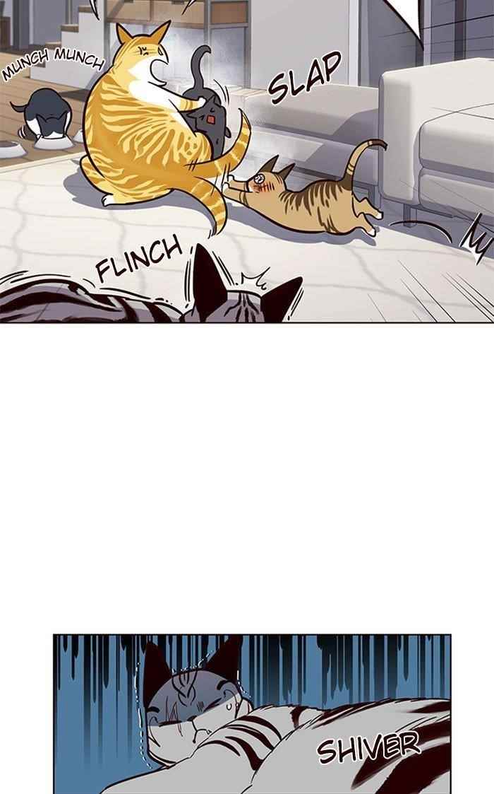 18+ Eleceed Chapter 37 page 49