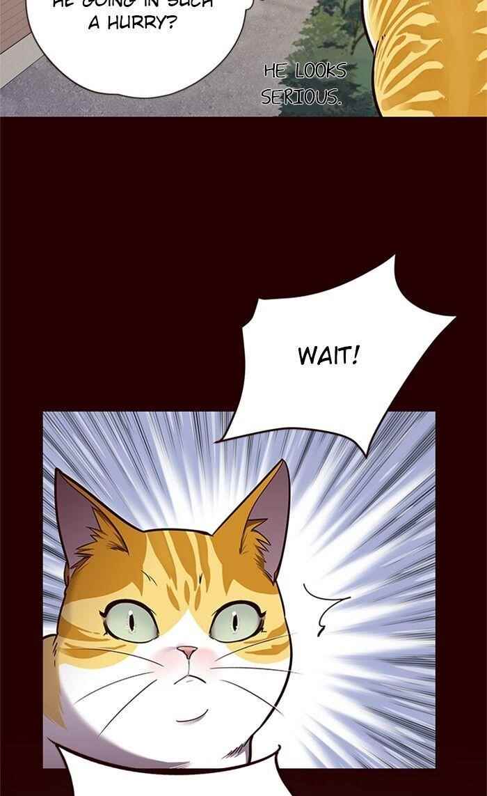 18+ Eleceed Chapter 52 page 40