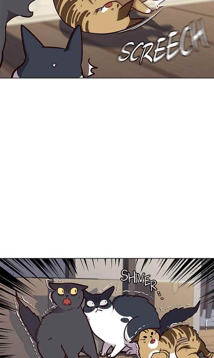 18+ Eleceed Chapter 58 page 9