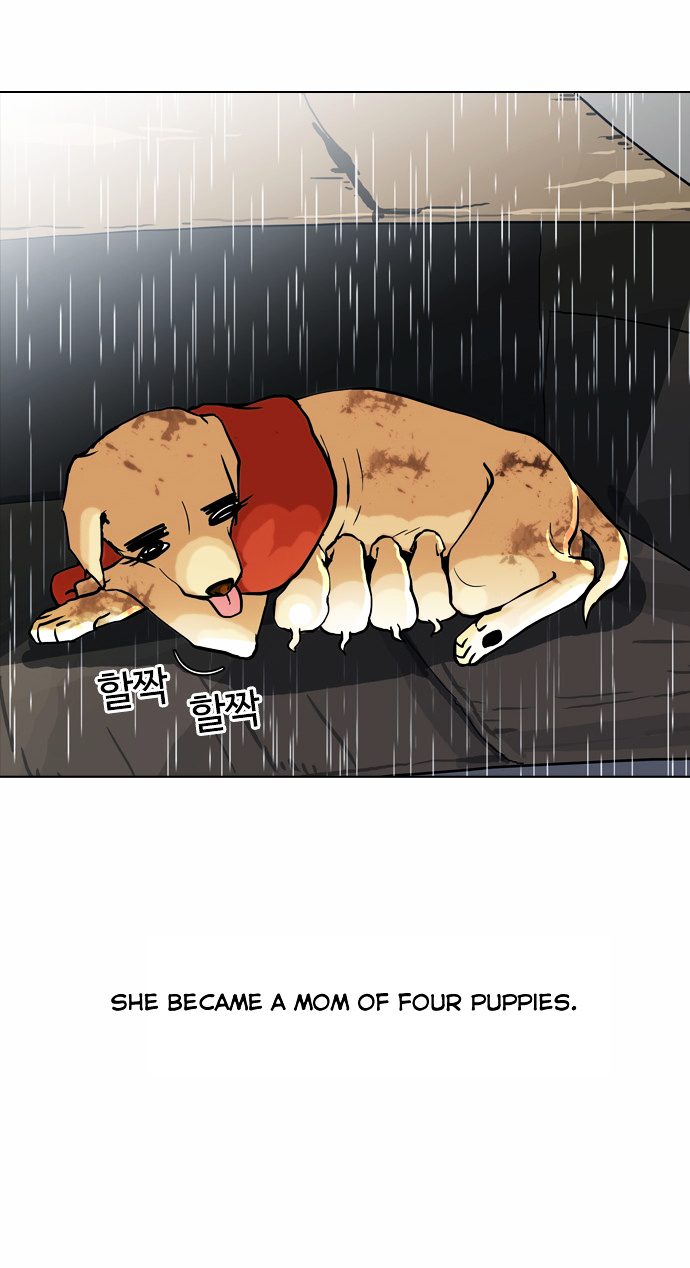 18+ Lookism Chapter 61 : Abandoned Dog Inu [04] page 10