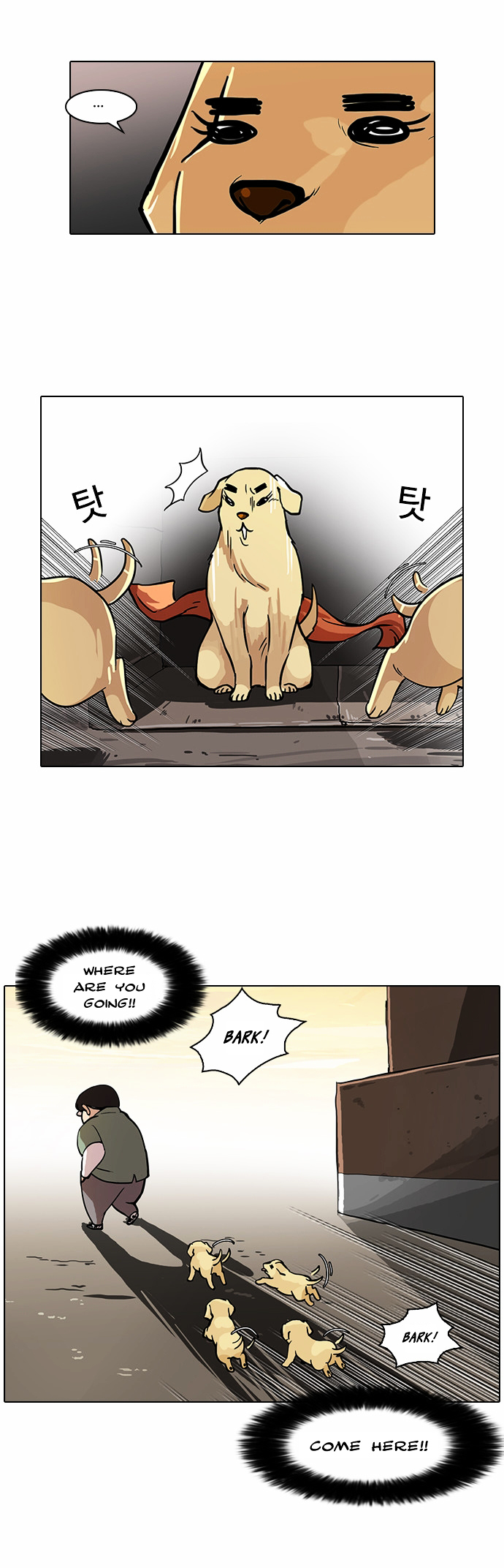 18+ Lookism Chapter 62 : Abandoned Dog Inu [End] page 22