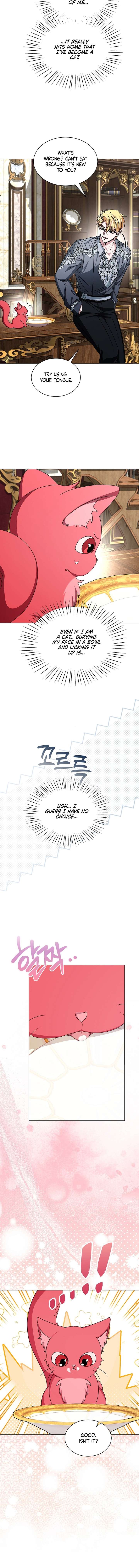 18+ My Fiancé Keeps Trying to Raise Me Chapter 36 page 8