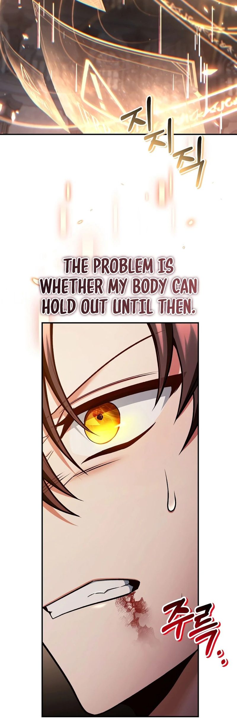 18+ Regressor Instruction Manual Chapter 197 page 12