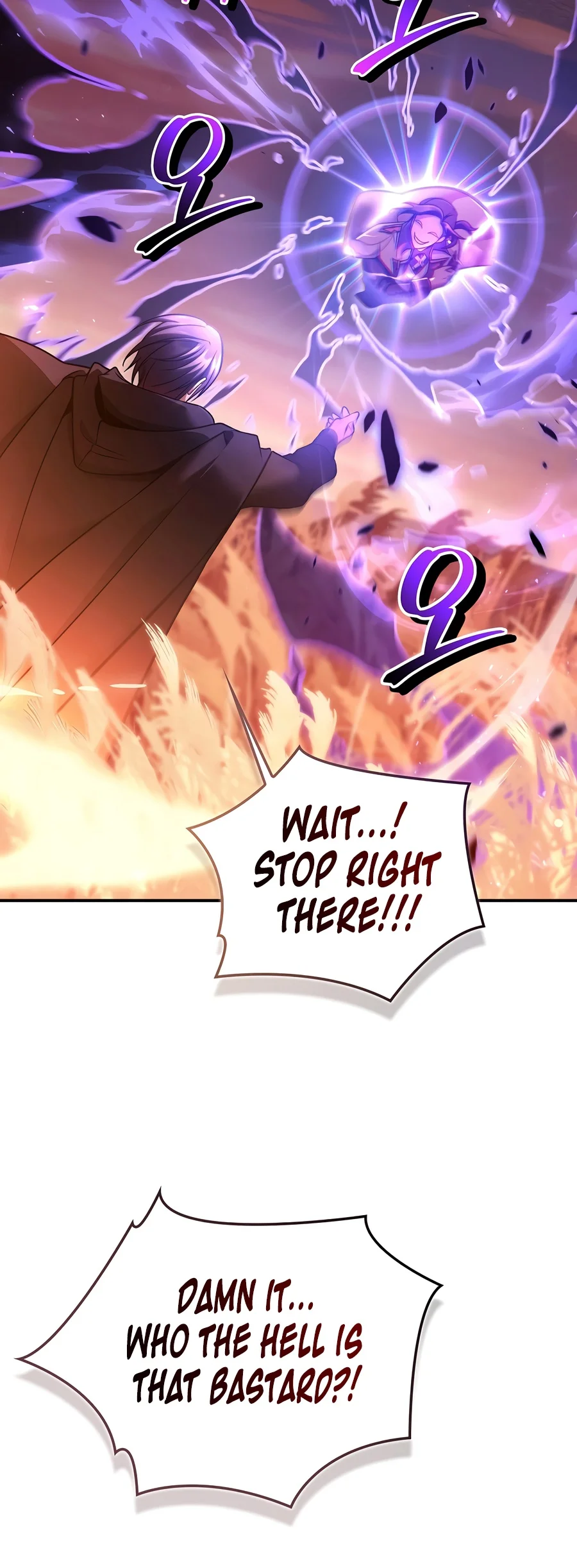 18+ Regressor Instruction Manual Chapter 207 page 4