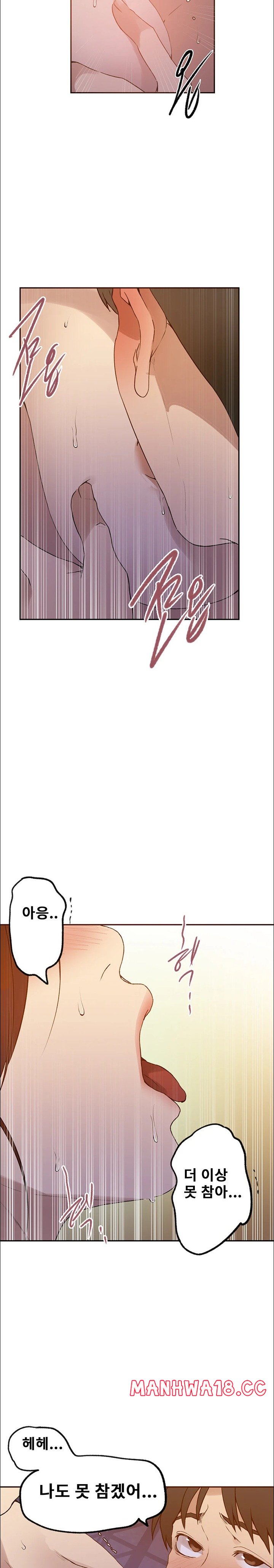 18+ Secret Class Raw Chapter 228 page 11