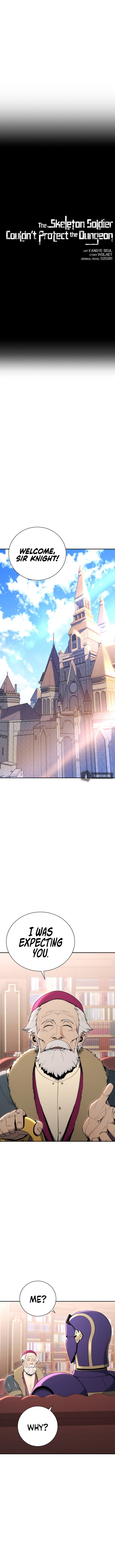 18+ Skeleton Soldier Couldn’t Protect the Dungeon Chapter 166 page 3