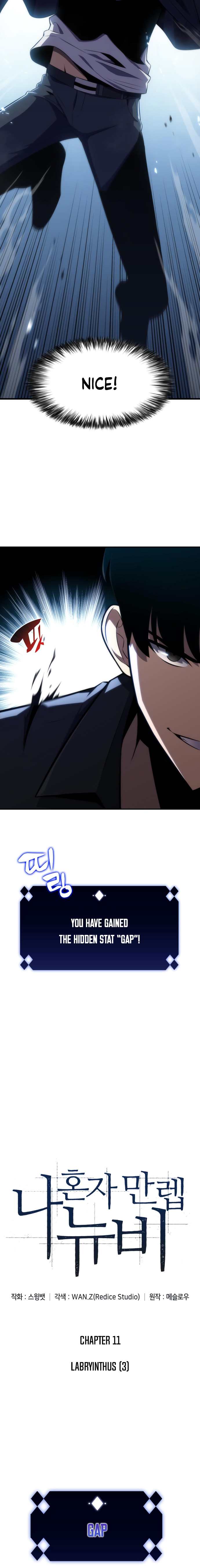18+ Solo Max-Level Newbie Chapter 11 page 3