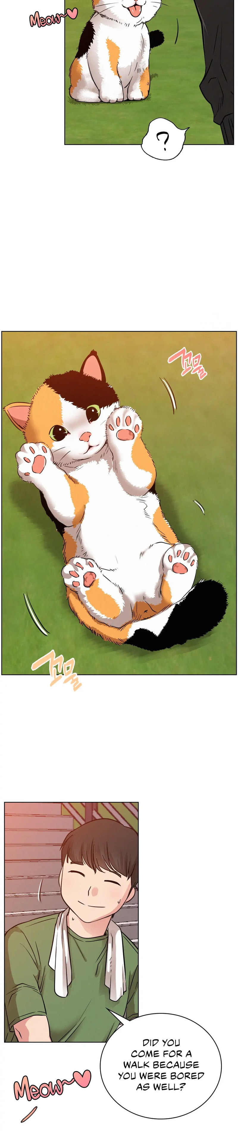 18+ Staying with Ajumma Chapter 33 page 17