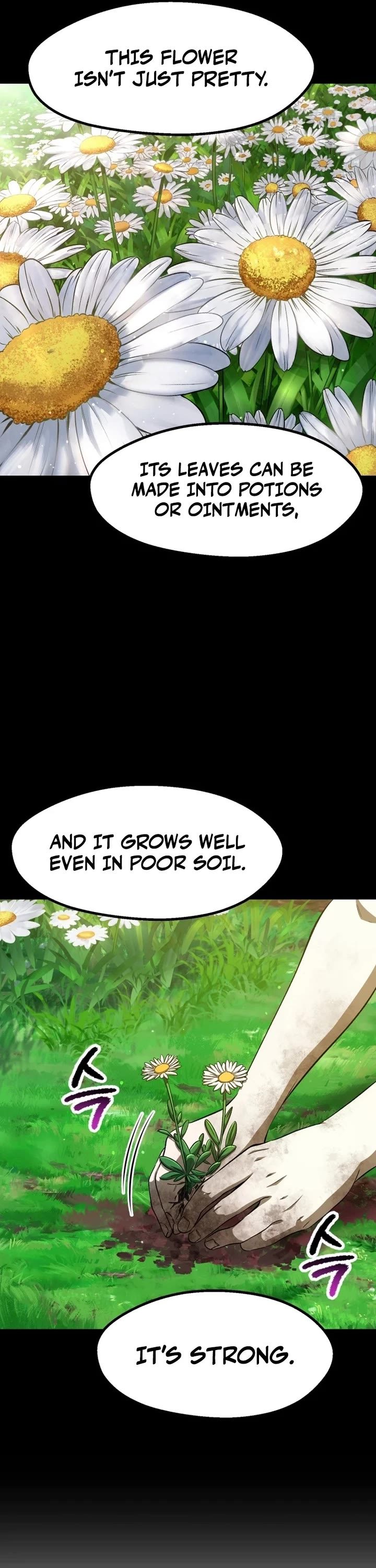 18+ Survival Story of a Sword King in a Fantasy World Chapter 266 page 13