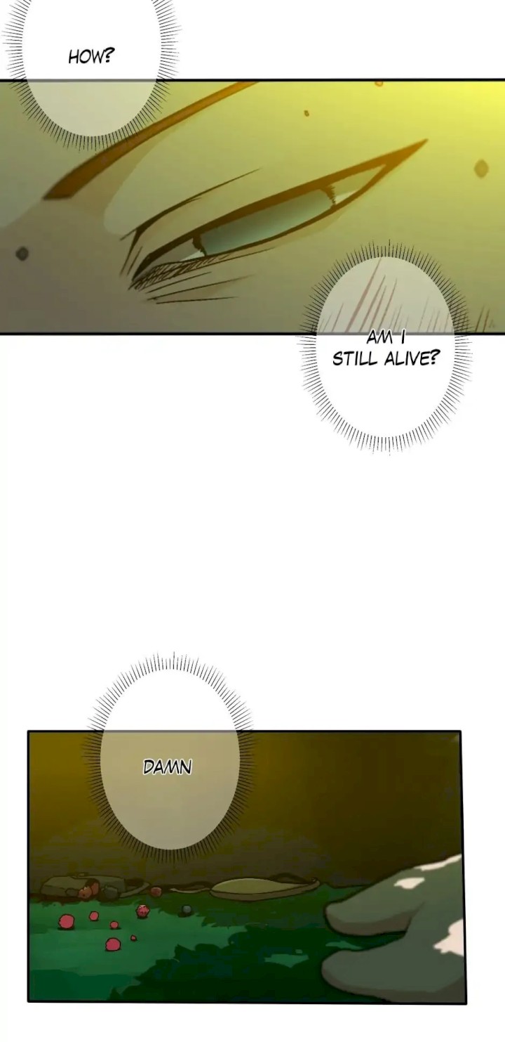 18+ The Beginning After the End Chapter 11 page 29