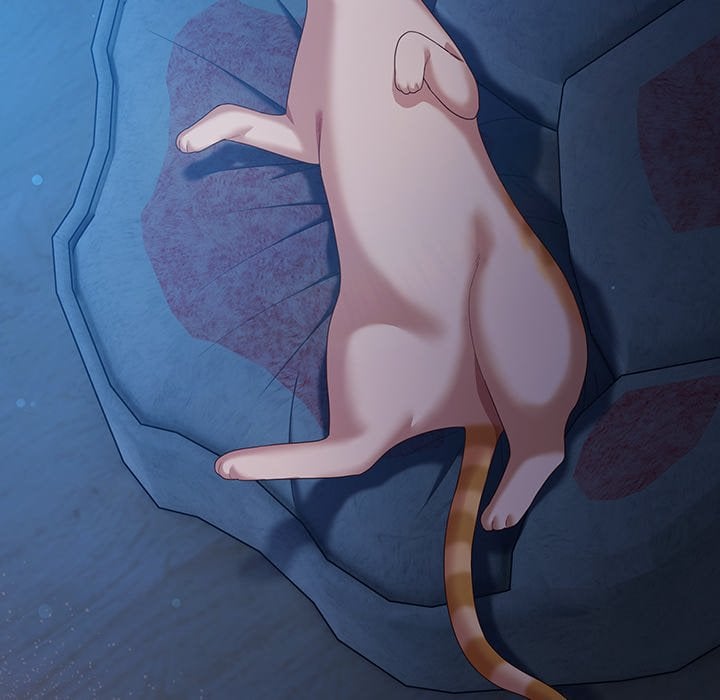 18+ The Love Meowtchmaker Chapter 27 page 6