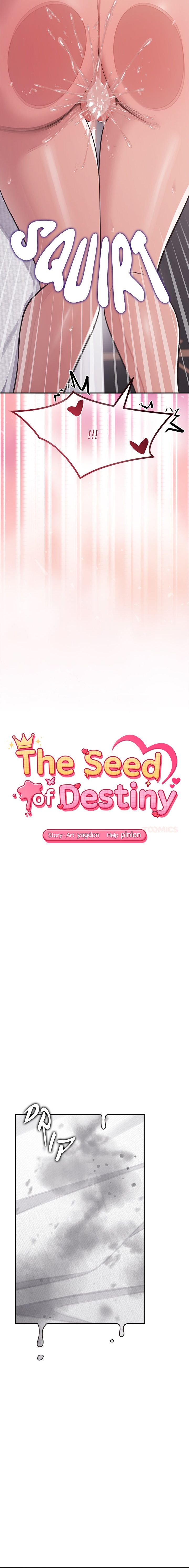 18+ The Seed of Destiny Chapter 16 page 3