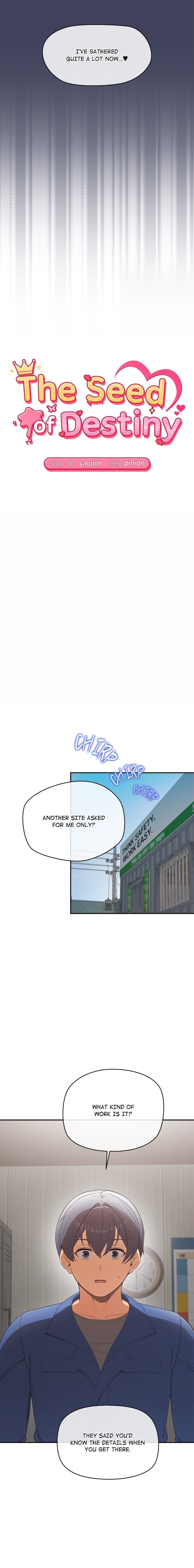 18+ The Seed of Destiny Chapter 22 page 3