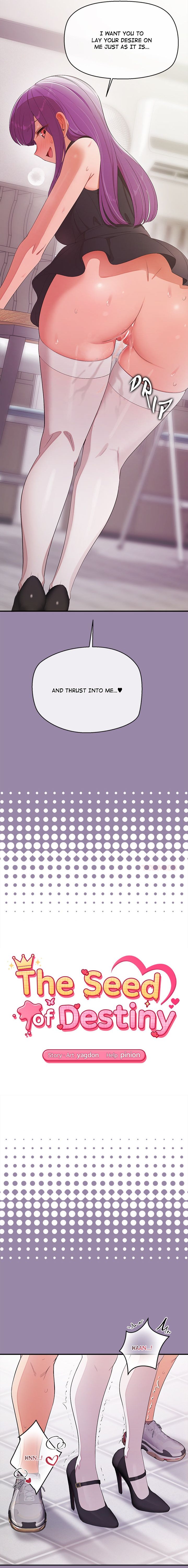 18+ The Seed of Destiny Chapter 23 page 2