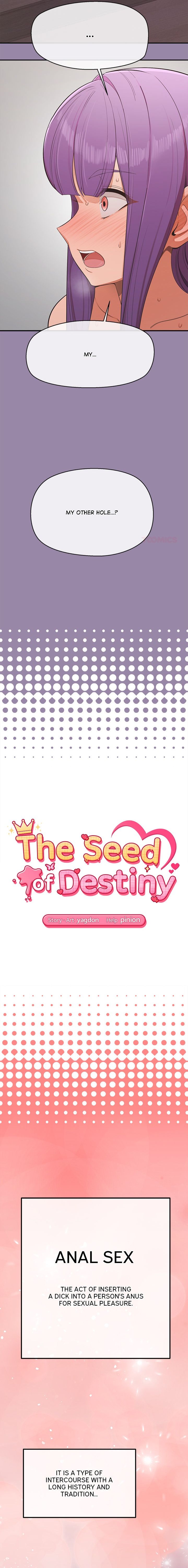 18+ The Seed of Destiny Chapter 24 page 2