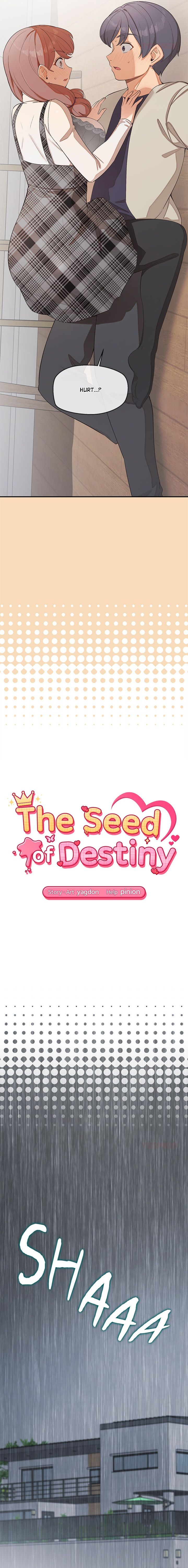 18+ The Seed of Destiny Chapter 26 page 2