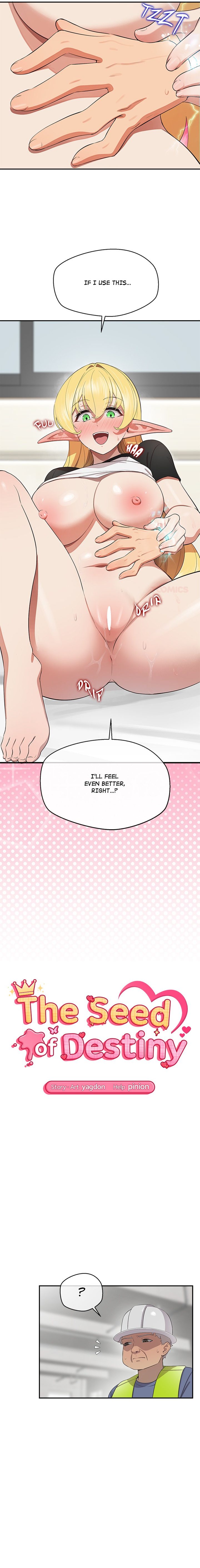 18+ The Seed of Destiny Chapter 9 page 2