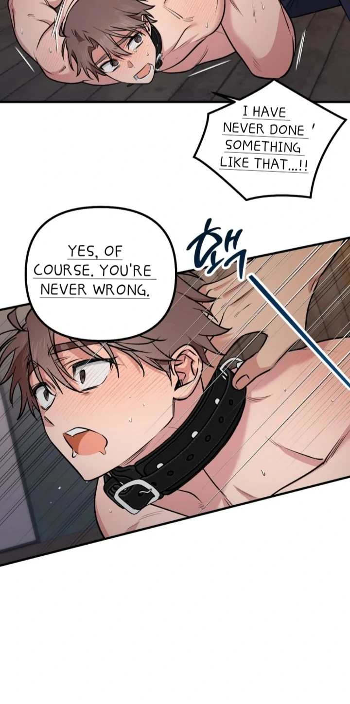 A Manhwa About Being Delivered Chapter 1 page 41