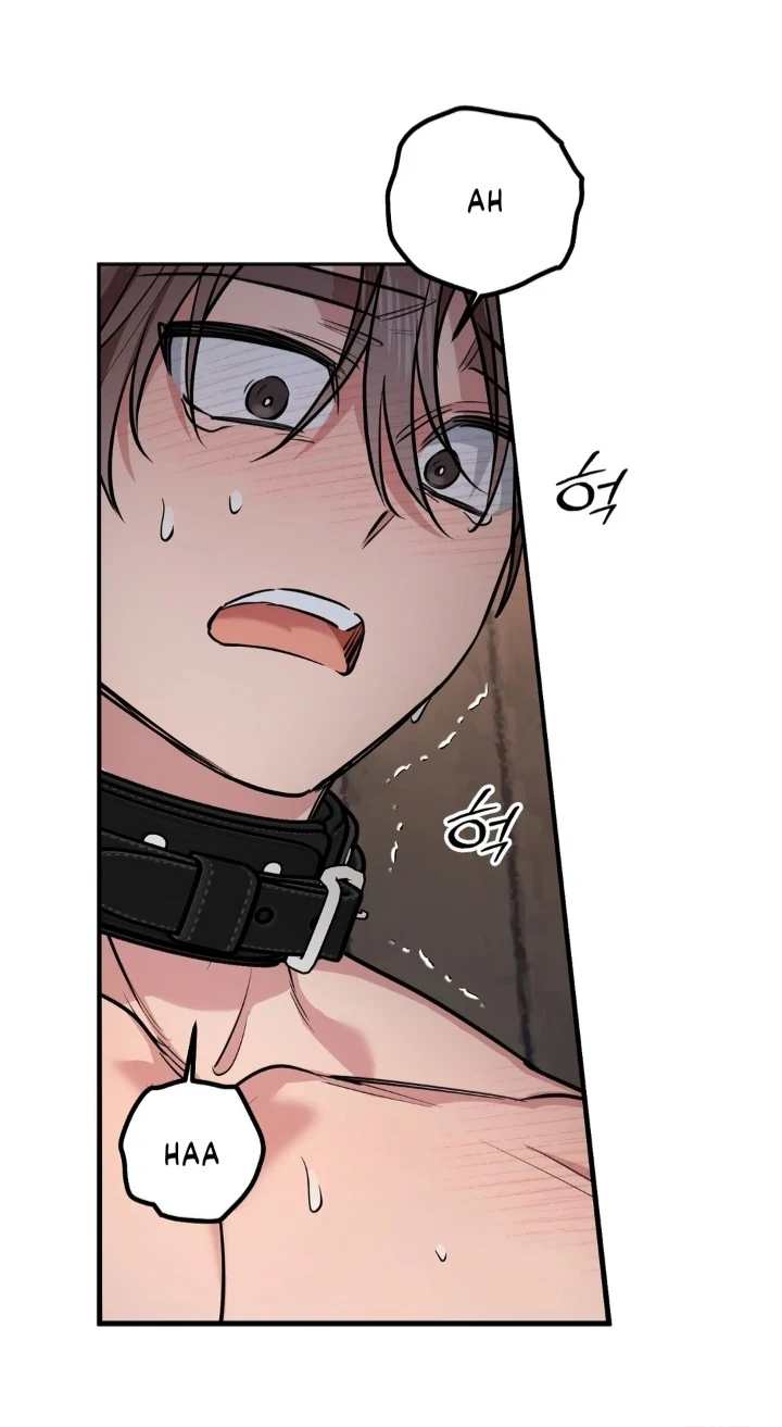 A Manhwa About Being Delivered Chapter 3 page 41