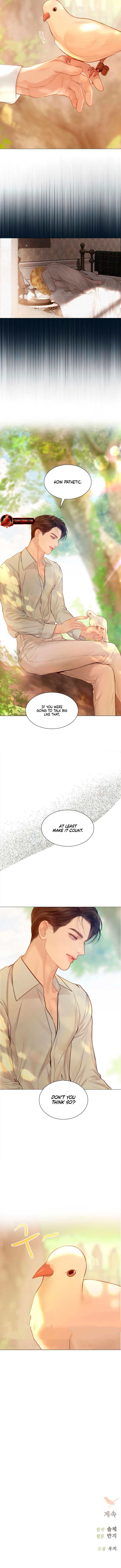 Cry, Even Better If You Beg Chapter 53 page 11