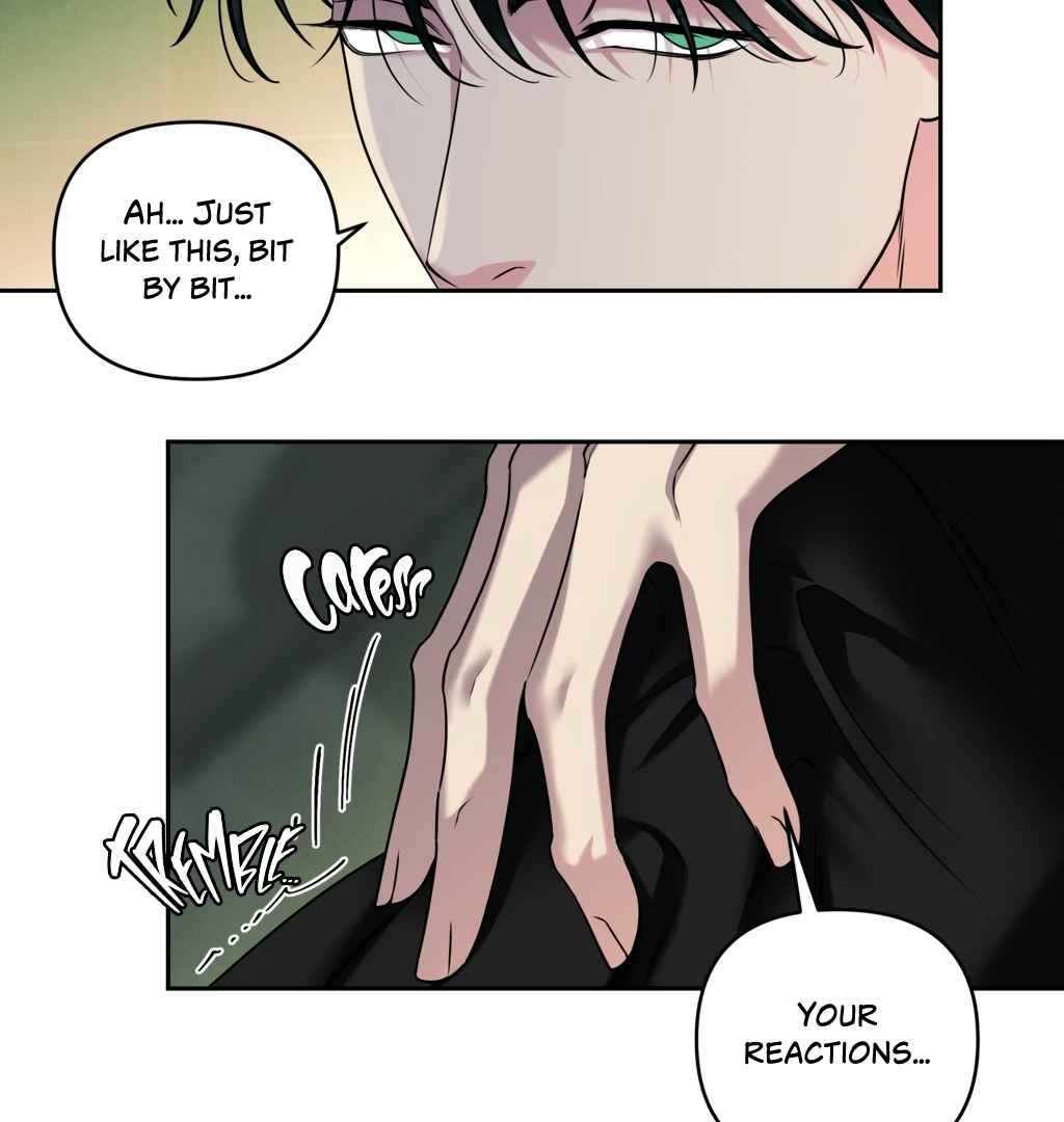 Dr. Agatho’s Report Chapter 2 page 82