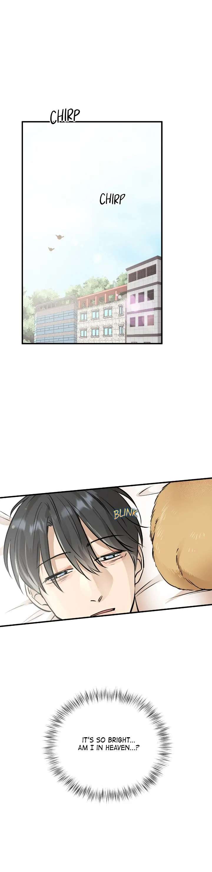 Honey Bear Chapter 29 page 28