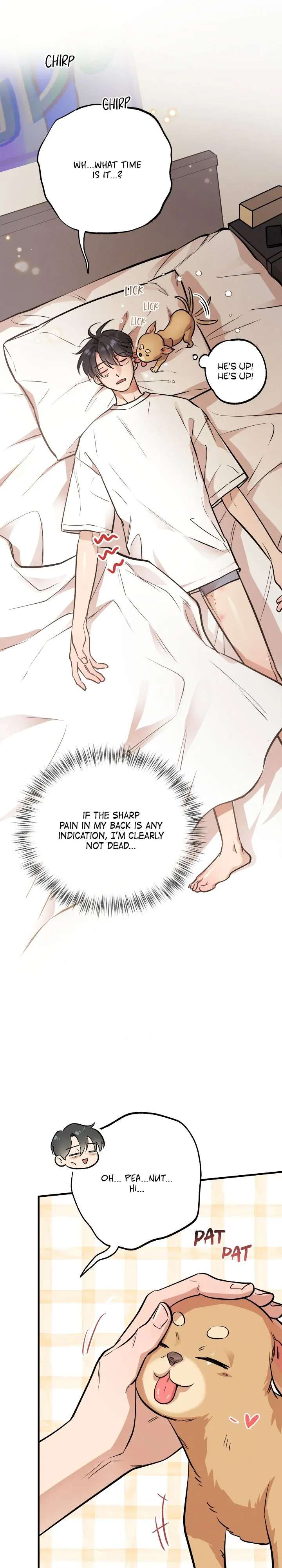 Honey Bear Chapter 29 page 29