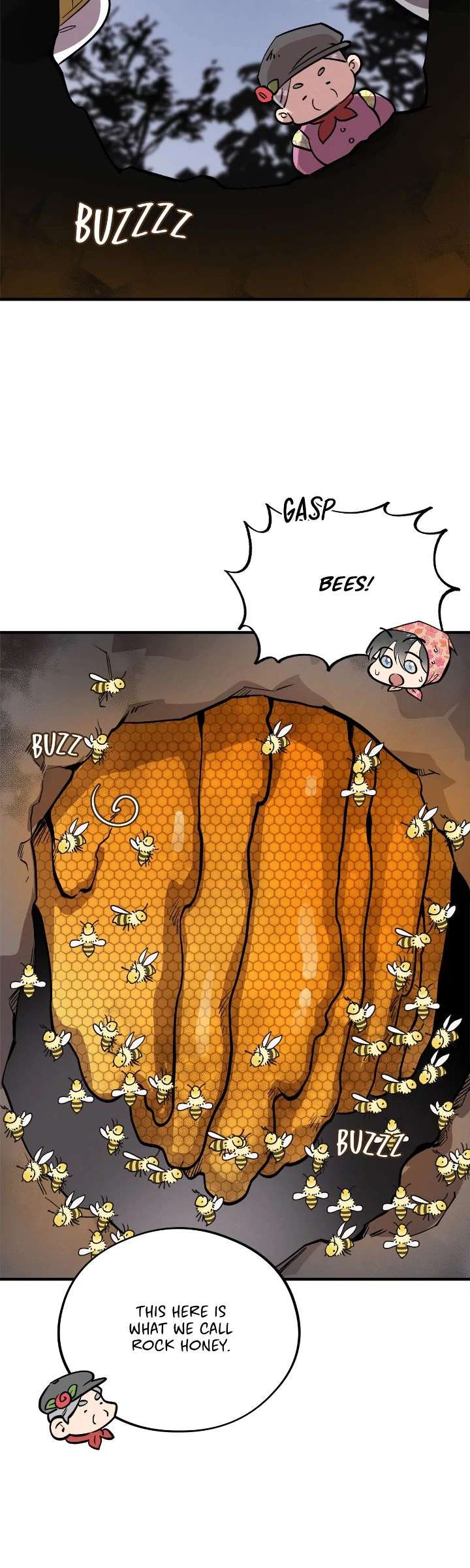 Honey Bear Chapter 56 page 29