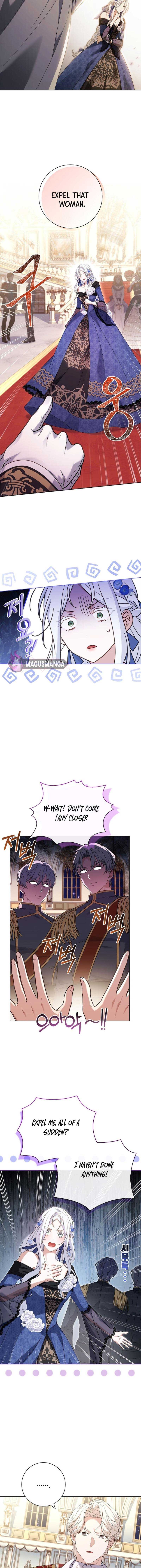 Honey, Why Can’t We Get A Divorce? Chapter 5 page 7