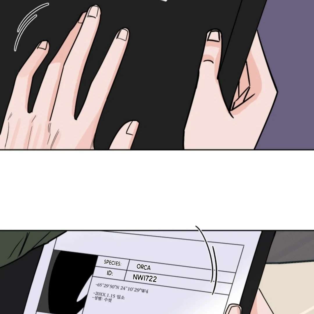 Incident Name: Tsunami: Killer Whale Hunting Method Chapter 5 page 40