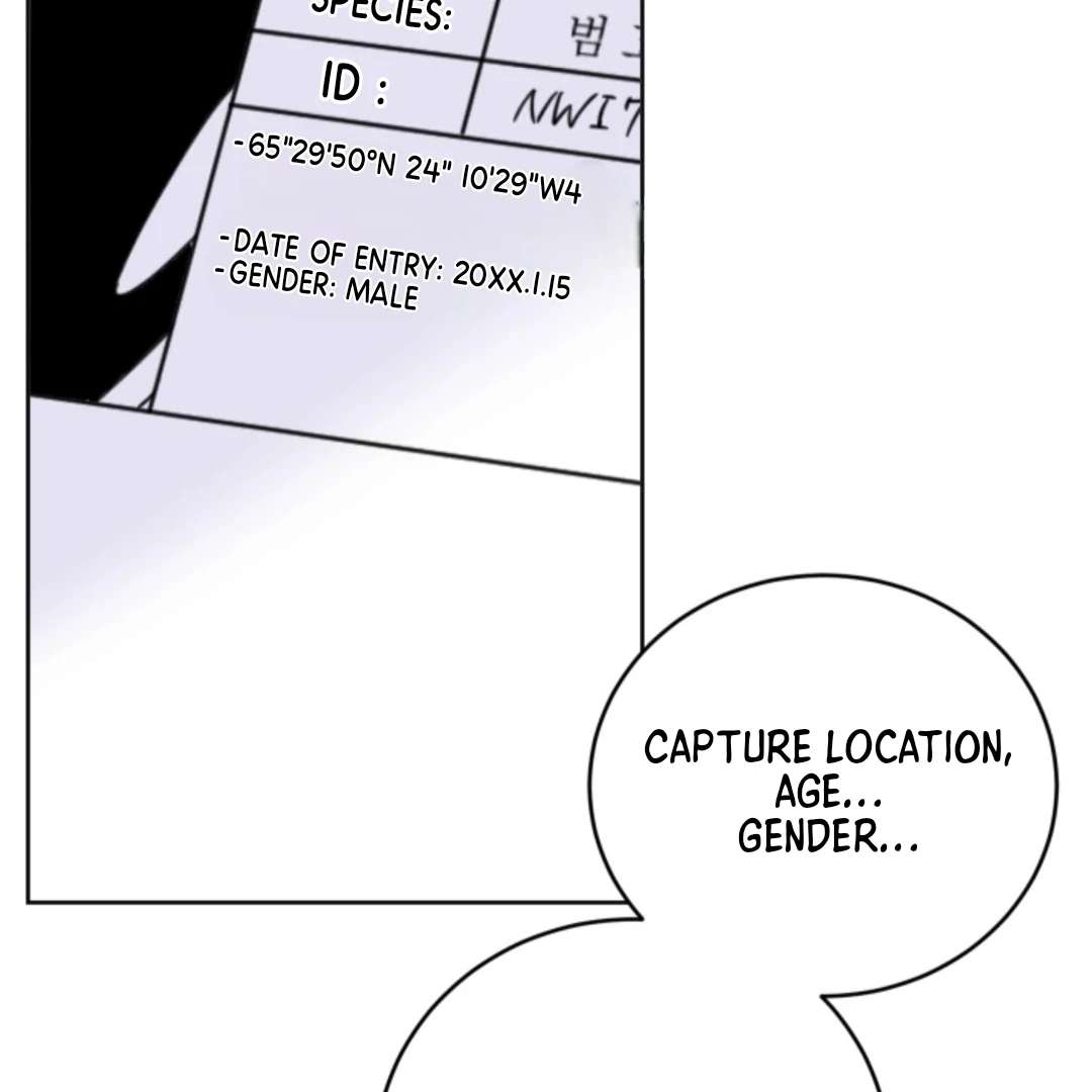 Incident Name: Tsunami: Killer Whale Hunting Method Chapter 5 page 42