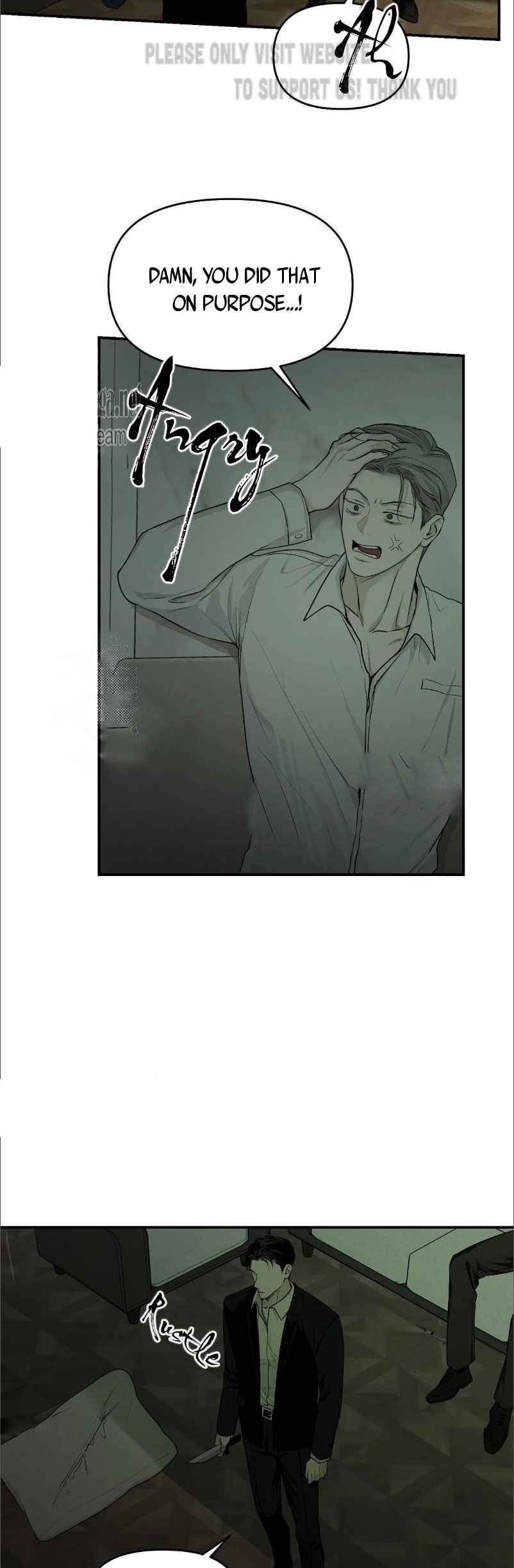 Projection Chapter 11 page 42