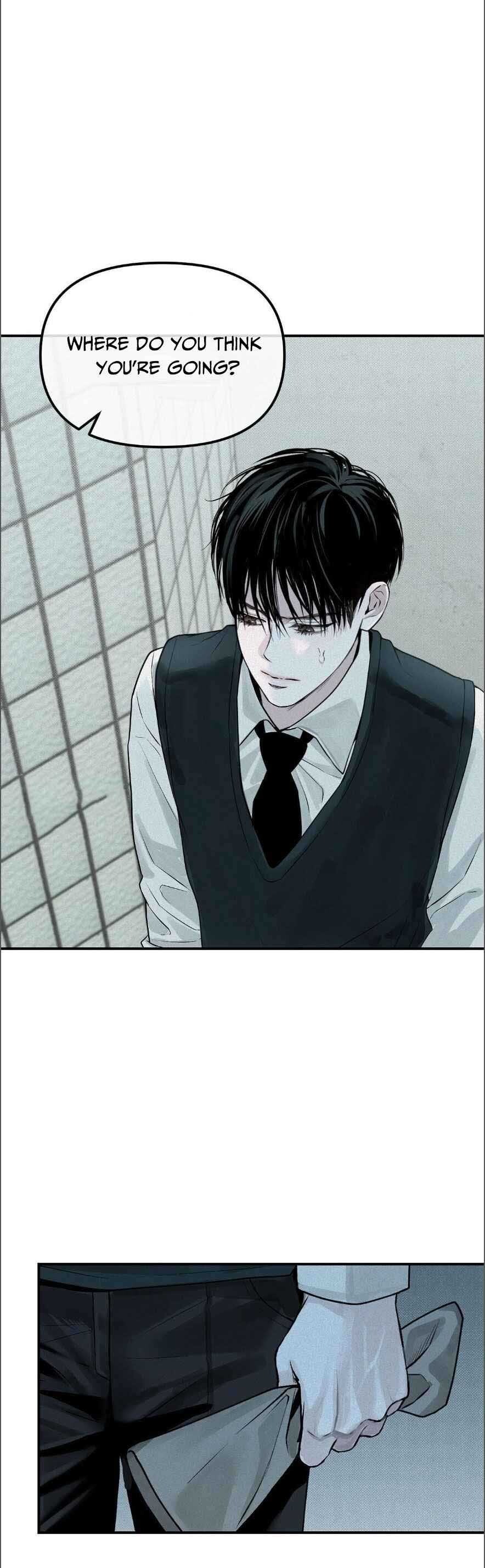 Projection Chapter 17 page 2