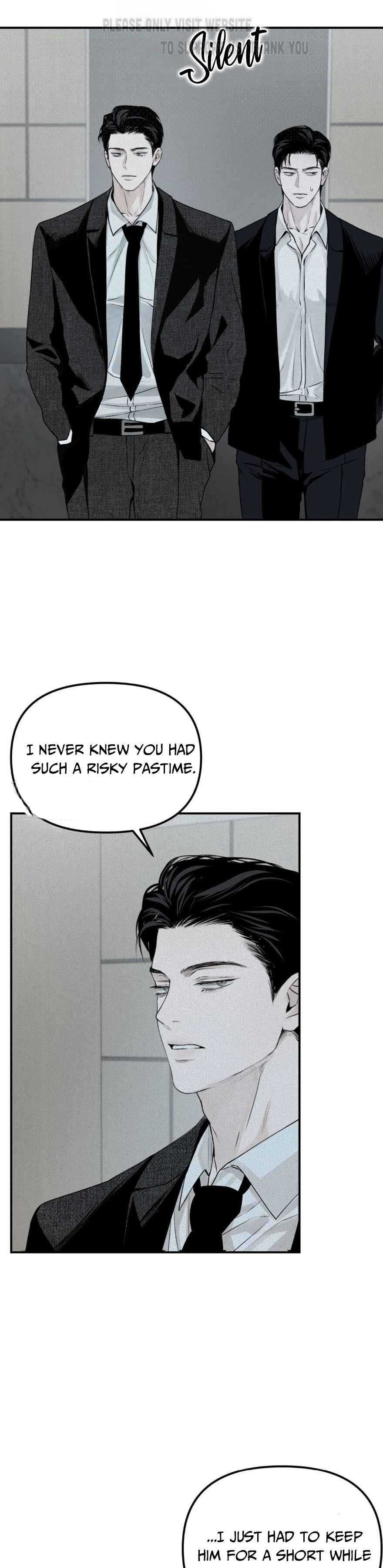 Projection Chapter 17 page 32