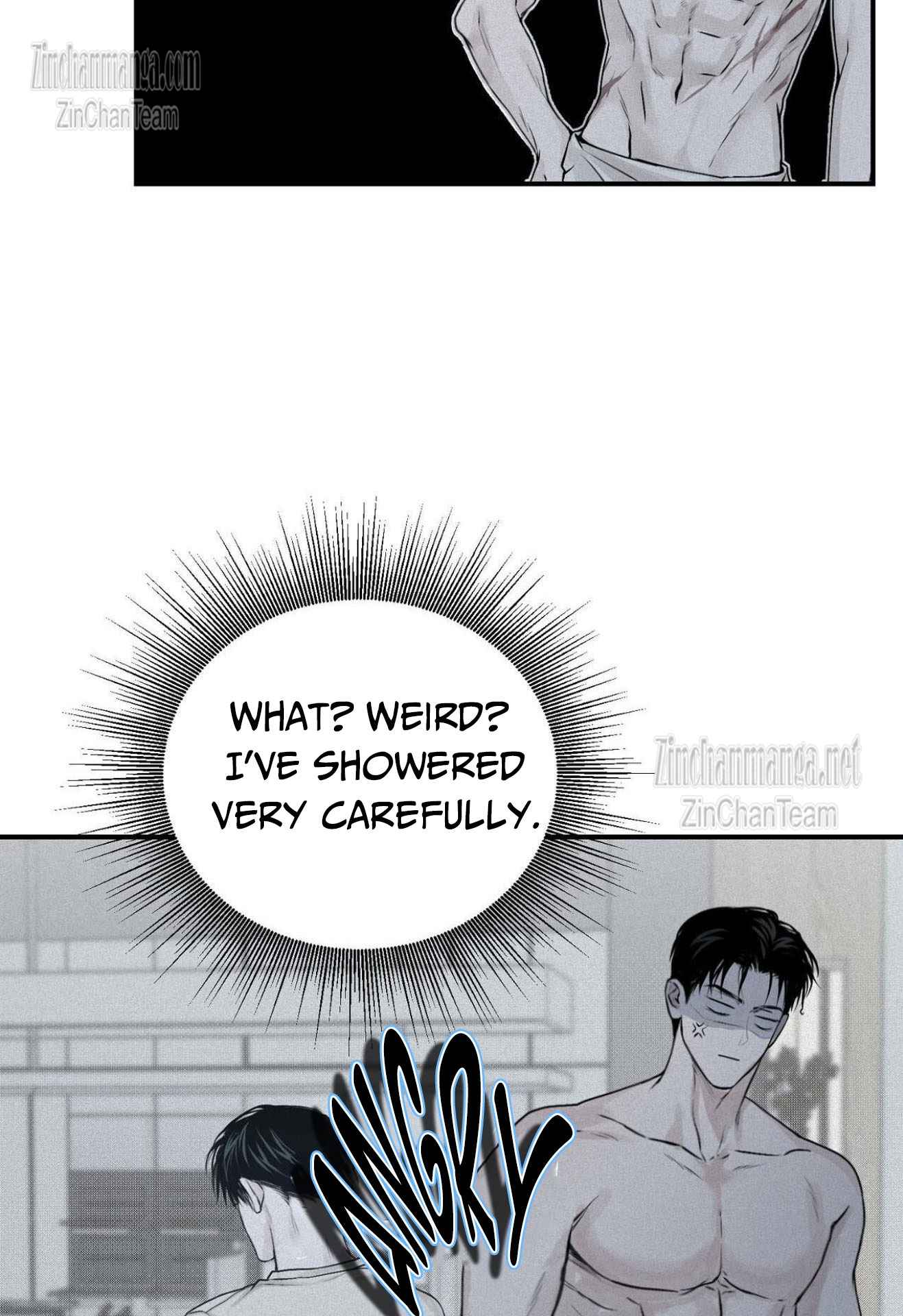 Projection Chapter 19 page 46