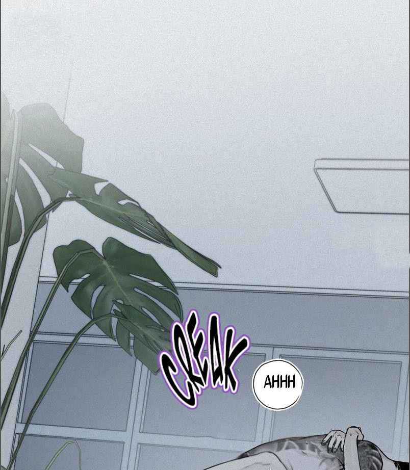 Projection Chapter 20 page 1