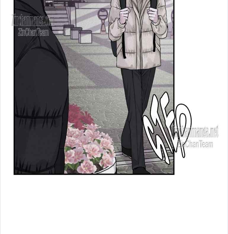 Projection Chapter 23 page 42