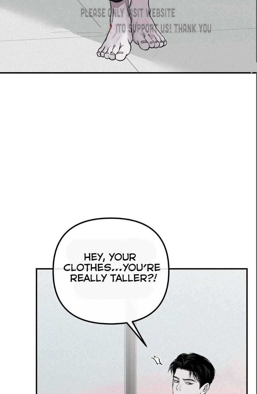 Projection Chapter 28 page 10