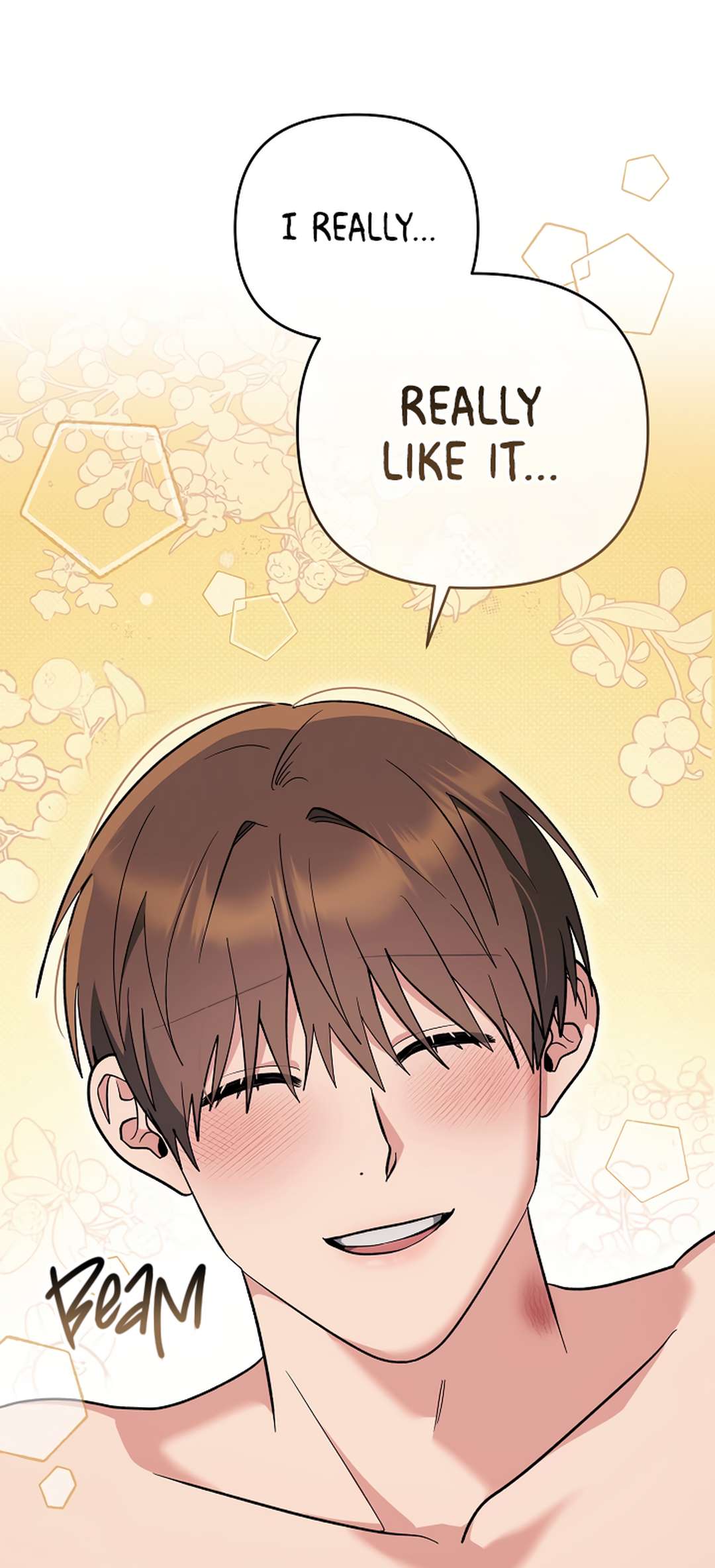 Romance, But Not Romantic Chapter 33 page 68