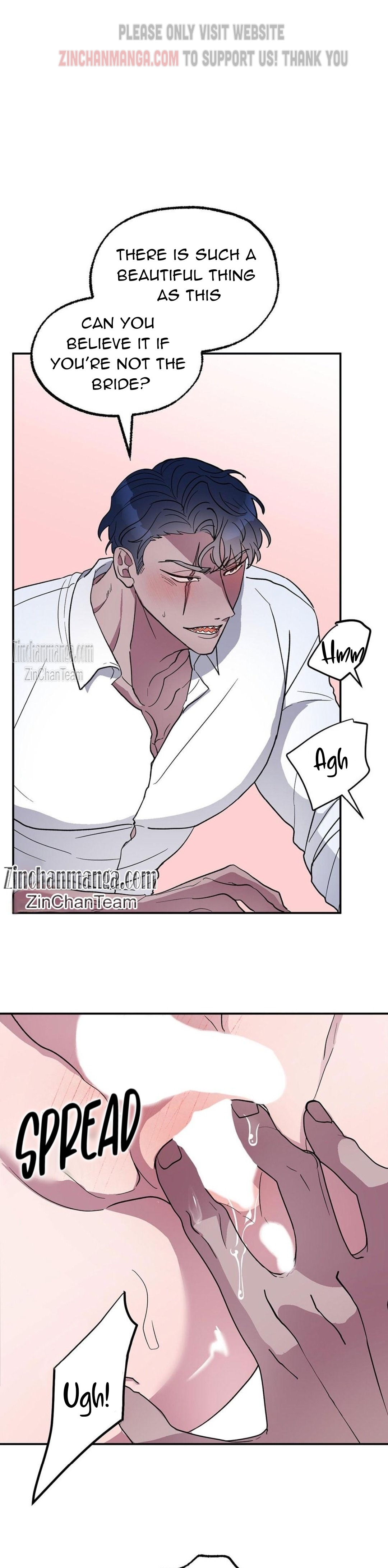 Shark And Bunny Bride Chapter 1 page 5