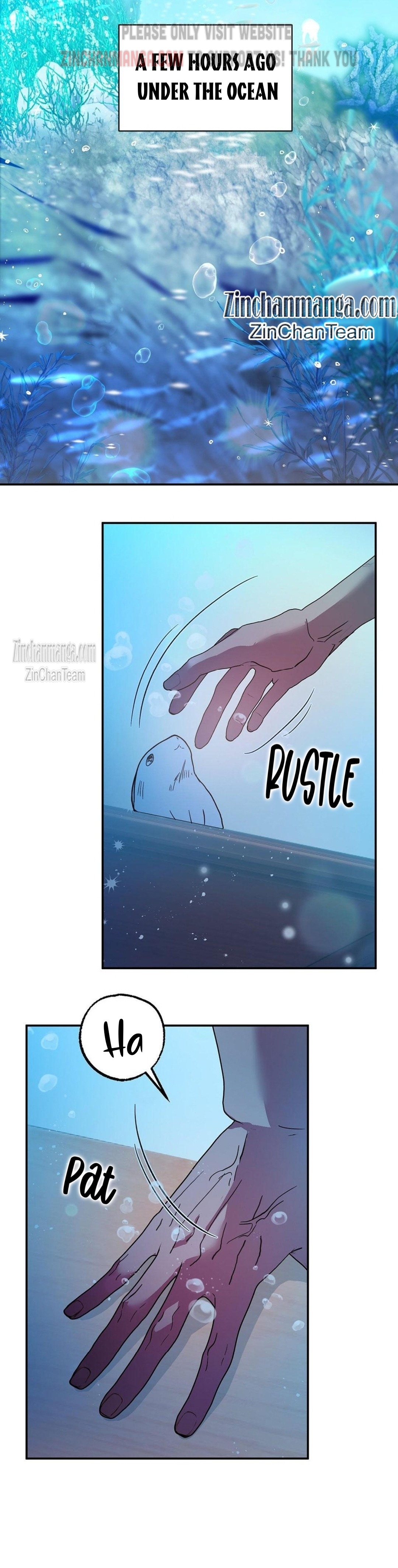 Shark And Bunny Bride Chapter 1 page 7