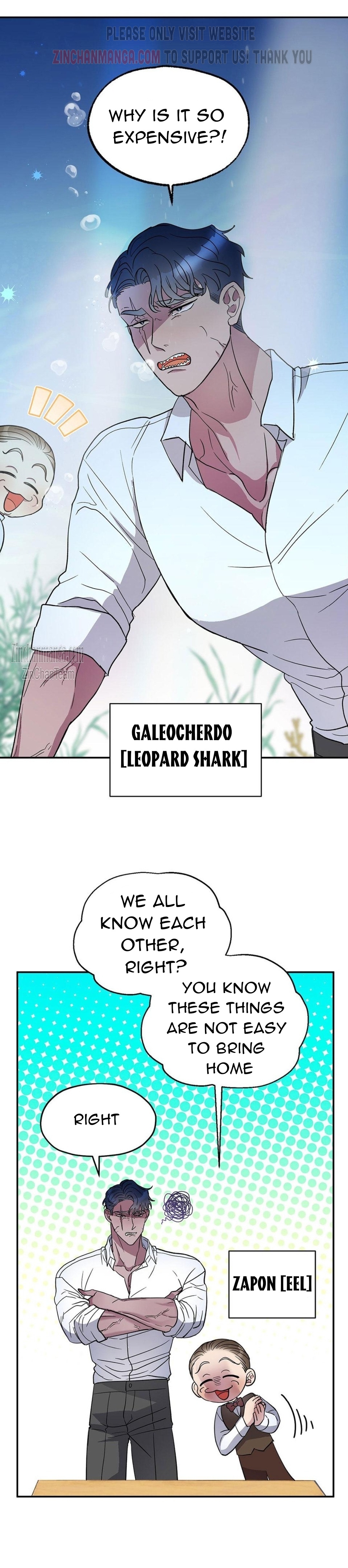 Shark And Bunny Bride Chapter 1 page 8