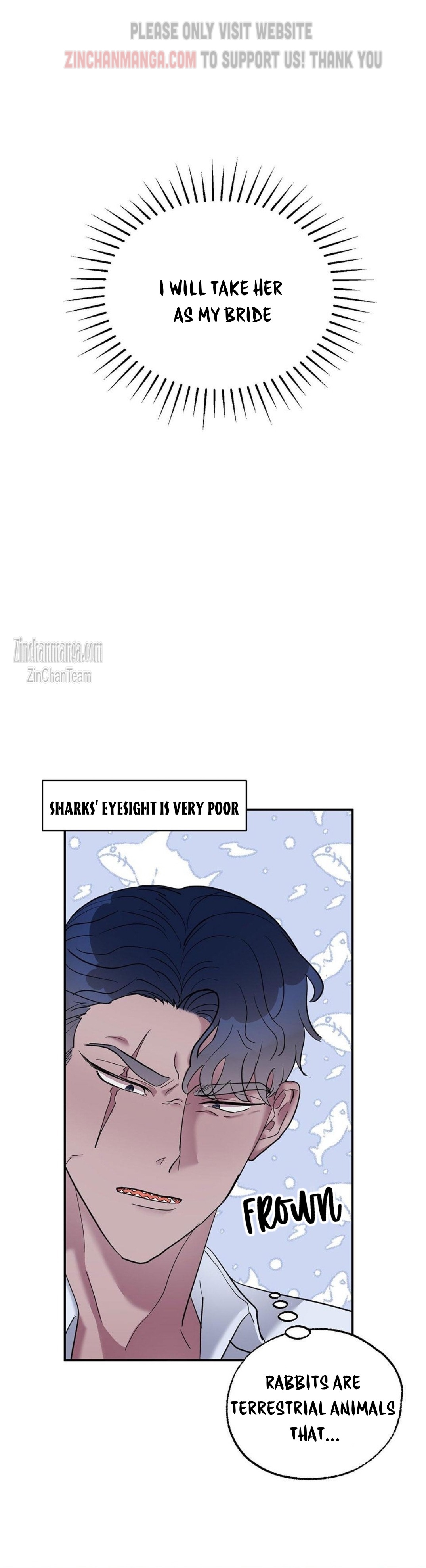 Shark And Bunny Bride Chapter 2 page 3