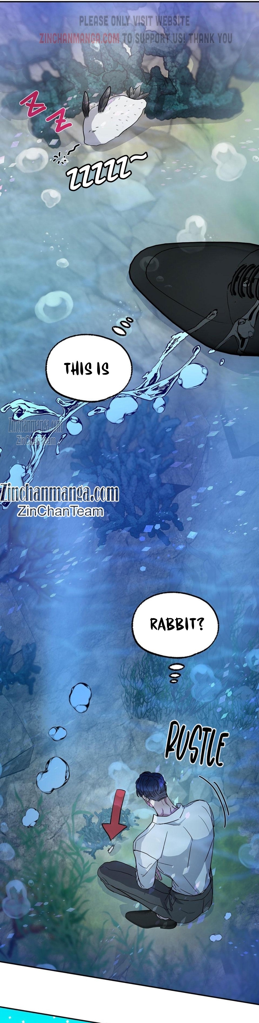 Shark And Bunny Bride Chapter 2 page 4