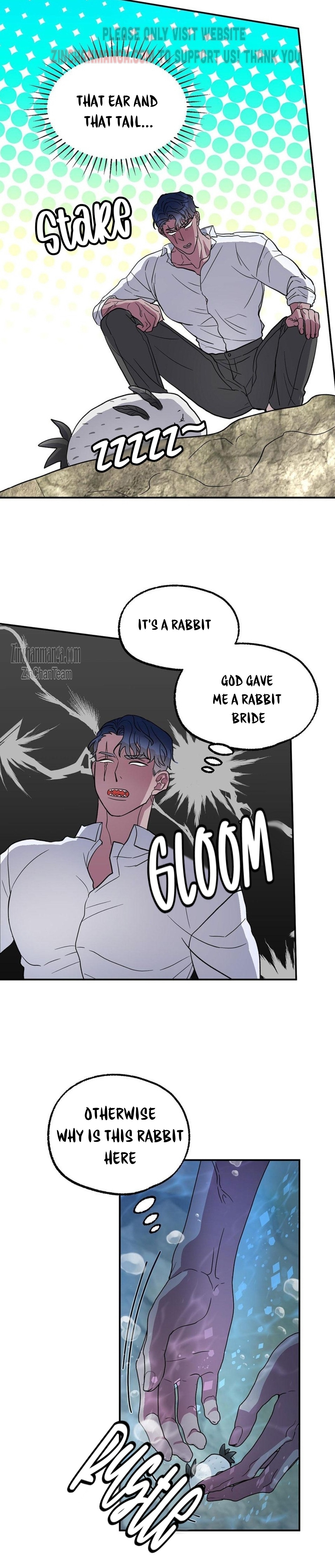 Shark And Bunny Bride Chapter 2 page 5