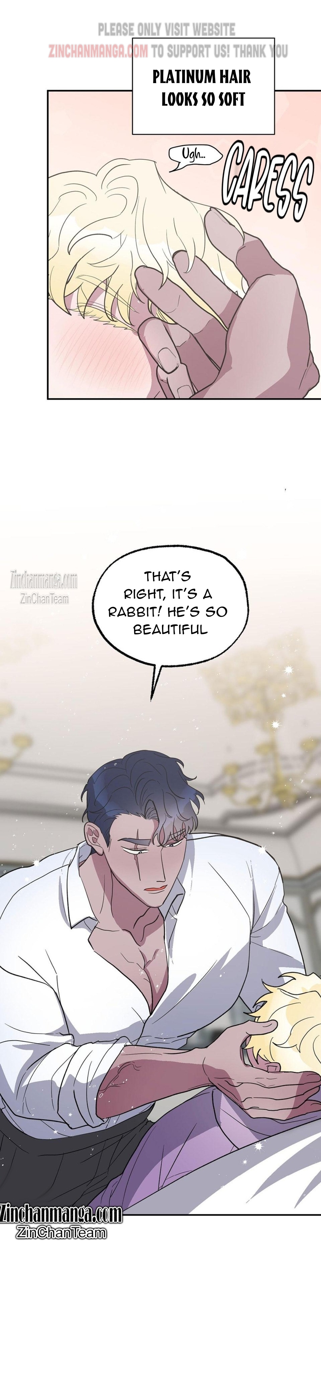 Shark And Bunny Bride Chapter 2 page 11