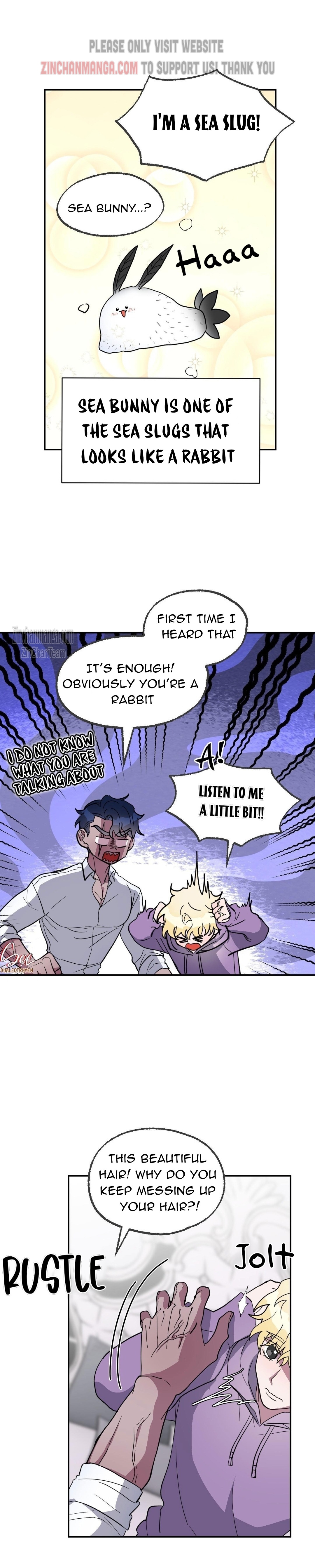 Shark And Bunny Bride Chapter 3 page 5
